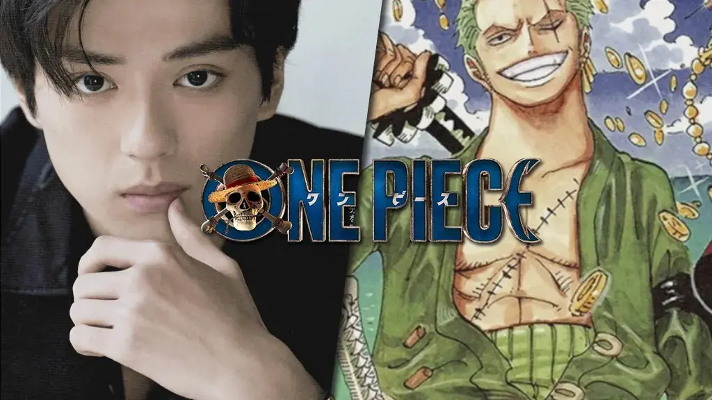Quem é quem no elenco de One Piece
